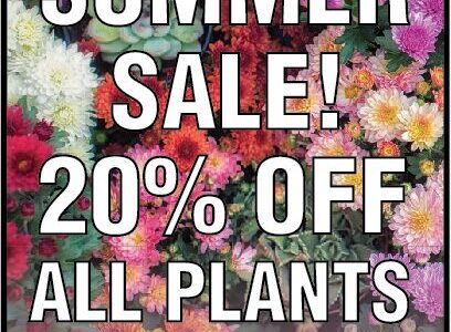 20% End of Summer Sale