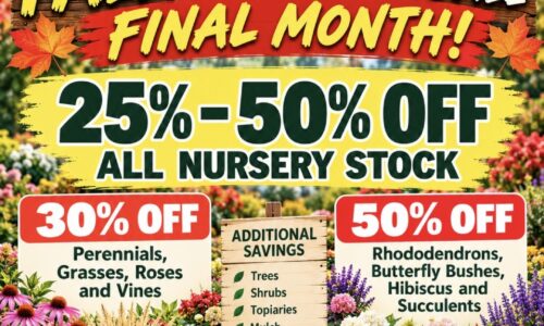 20261001_Fall Clearance Final Month
