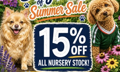 Dog Days Sale