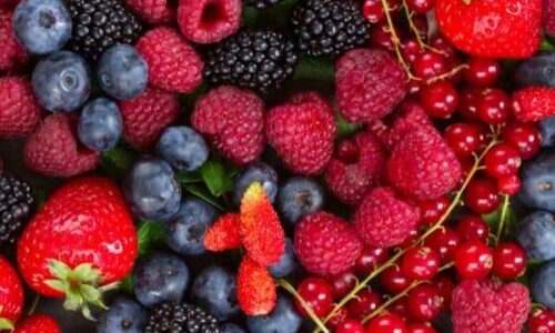 Small-Fruits